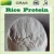 Import Rice Protein Powder for Baby Food ingredient from China