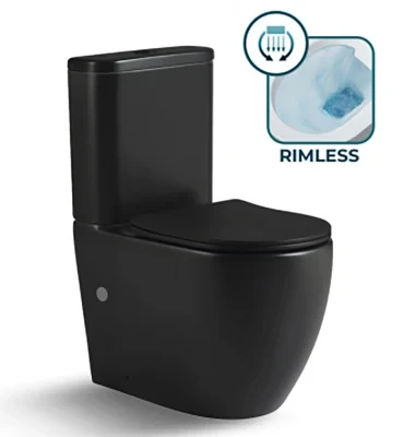 Rimless Two Piece Toilet Made in China Price Toilet Accessories