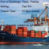 Sea Freight rate from China to Tunis, Tunisia   Freight forwarder  China Shipping agent