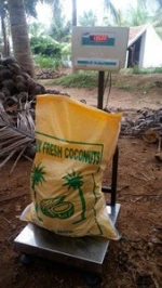 SEMI HUSKED MATURED COCONUT best rate - lowest Price +91-8617360257