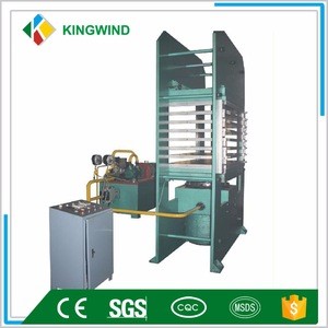 Sidewall conveyer belt vulcanizing press/rubber machine/Factory manufacture
