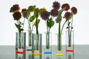 Single Acrylic Flower Vase for Decoration