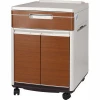 SKS013-1 Cheap Hospital Bedside Waterproof Storage Cabinets With Wheels