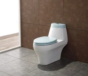 Smart Jet Flush Toile Seat/Smart One-Piece Toile Bowl/Smart New Style Auto Lid Toilet