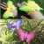 Import Soft plastic led light up butterfly toys ring for kids from China