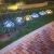Import Solar Led Light Fireworks 105 LED Multi Color Outdoor Firework Solar Garden Decorative Lights for Walkway Pathway Backyard from China