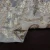 Import stock lurex silk chiffon fabric metallic jacquard silk chiffon fabric from China