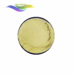 Supply food ingredients vital wheat gluten 25kg powder