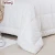 Import Taitang Soft Quilts Bedding Hotel White Cotton Quilt from China