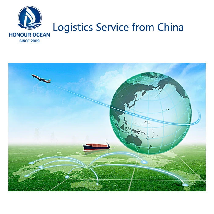 Top 10 Freight Forwarders Agent fba amazon1688 zim forwarding ddp fast Sea Ocean Shipping China To USA Malaysia Singapore India