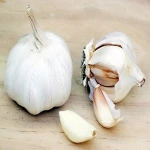 Top Quality Wholesale Fresh Garlic in Mesh Bag