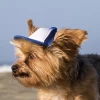 Trucker Hats for Dogs (XXS)(Blue) - unique stylish pet dog hat - patented design