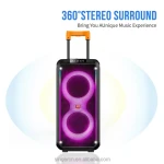 TTD-2821 8 inch 1500watt dj sound system portable outdoor karaoke party box wireless bluetooth speaker Boomboxes