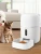 Import Tuya Smart Platform 6lt Smart Video Pet Feeder Camera Pet Bowls &amp; Feeders Automatic Feeders &amp; Waterers Dry Food ONLY 1920*1080 from China