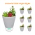 Import Ultrasonic 200ML  aroma humidifier with plant from China