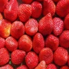 various size frozen strawberry green fresh fruit supplier