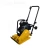 Import Vibratory Plate Compactor from China
