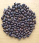 VIETNAM BLACK CARDAMON