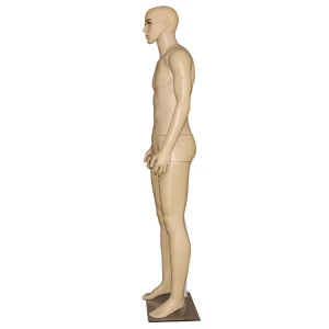 vivi plastic skin color man model whole body male mannequin