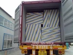 Wanjia Regular Gypsum Board Drywall 1200x2400x9.0mm Plasterboard