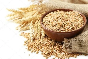 Wheat,Soft Wheat, Barley, Wheat Flour, Flour, Grains, Best Quality, Cheap, Pure,Natural, No GMO