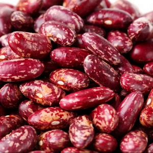 Wholesale 15% Moisture Dried Purple Speckled Kidney Beans