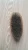 Import wholesale bamboo hairbrush 100% boar bristle hair beard brush from China