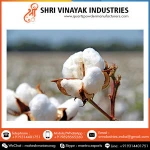 Wholesale Bulk Raw Cotton In India