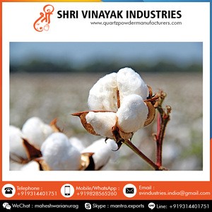 Wholesale Bulk Raw Cotton In India