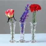 Wholesale Competitive Price, New Design and High Quality Glass Bottle Flower Vase