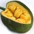 Import Wholesale Crispy Freeze dried fruit Jackfruit Vacuum Dehydrated Fruits Freeze dried food from China