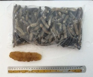 Wholesale dried sea cucumber buyers in China, Grade A dry sea cucumber.....