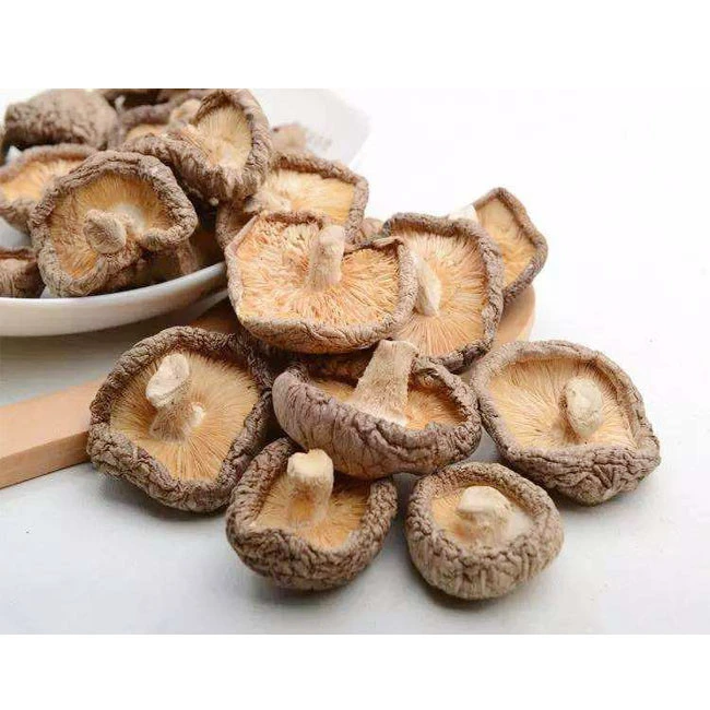 Wholesale Dried shiitake mushroom
