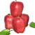wholesale fresh fruits apples