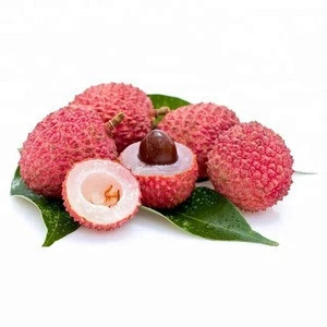 Wholesale Fresh Lychee / Lychee Fruit Price / Lychee Fresh Fruit In India