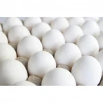 Wholesale Fresh White Brown Table Eggs /Fresh Chicken Table Eggs