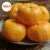 Import Wholesale Frozen Fresh Mandarin Citrus Orange/Navel Oranges, valencia, Mandarin, Tangerine, Lemons, Clementine, citrus fruits from Pakistan