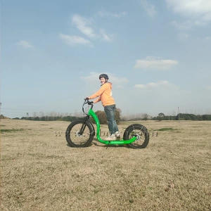 Wholesale high performance sobowo big tire powerful adult electric scooters