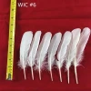 Wholesale Hot Selling Purple Washed White Nagorie Goose Down Feathers