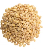 Wholesale market price barley grains, prices per ton / Bulk Feed / Food Wholesale Barley Grain