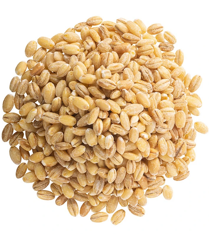 Wholesale market price barley grains, prices per ton / Bulk Feed / Food Wholesale Barley Grain
