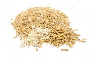 Wholesale Russian Grain Oats