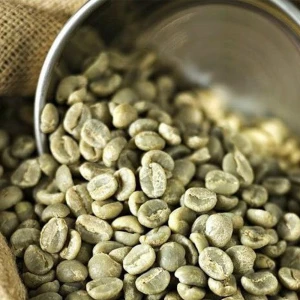Wholesale Vietnamese High Quality Raw Coffee Beans With Best Price Arabica Bean For Import Good Quality GreenCoffee Beans
