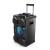 Import WLS audio Private Portable Multifunctional Trolley Speaker 60w Karaoke Tower Speaker With light Pa Speaker System from China