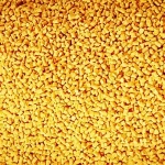 yellow bright color masterbatch