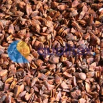 Broken Star Aniseed Best Rate