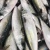 Import Ocean Harvested Frozen Mackerel With Uniform Size Selection For Wholesale Seafood Import And Export from South Africa
