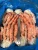Import Frozen Red King Crab Legs / Live King Crab / Live Snow Crab Cheap Prices from Norway