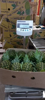 Md2 Pineapple