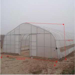 Tunnel Plastic /PE Flim Greenhouse For Vegetables / Flower